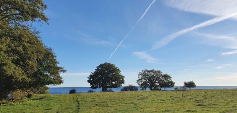 Äng, träd, himmel och hav.